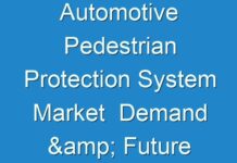Automotive Pedestrian Protection System Market Demand & Future Scope Including Top Players forecast to 2025