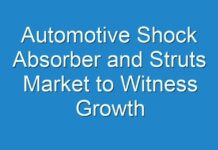 Automotive Shock Absorber and Struts Market to Witness Growth Acceleration during 2017 – 2025