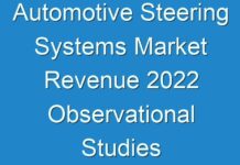 Automotive Steering Systems Market Revenue 2024 Observational Studies by Top Companies & Forecast by 2030
