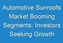Automotive Sunroofs Market Booming Segments; Investors Seeking Growth 2024 -2030