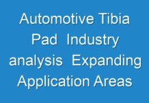 Automotive Tibia Pad Industry analysis Expanding Application Areas To Drive The Global Market Growth 2031