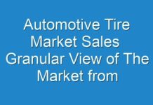Automotive Tire Market Sales Granular View of The Market from Various End-Use Segments 2019 – 2027