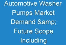 Automotive Washer Pumps Market Demand & Future Scope Including Top Players forecast to 2025