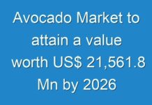 Avocado Market to attain a value worth US$ 21,561.8 Mn by 2026