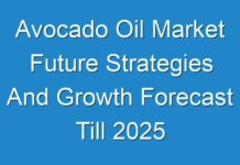 Avocado Oil Market Future Strategies And Growth Forecast Till 2025