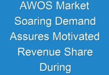 AWOS Market Soaring Demand Assures Motivated Revenue Share During 2019 to 2029