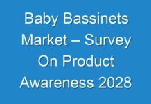 Baby Bassinets Market – Survey On Product Awareness 2028