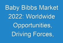Baby Bibbs Market 2024: Worldwide Opportunities, Driving Forces, Future Potential 2027
