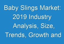 Baby Slings Market: 2019 Industry Analysis, Size, Trends, Growth and Forecast 2027