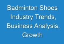 Badminton Shoes Industry Trends, Business Analysis, Growth Opportunities, Segmentation, and Share Forecast TO 2028