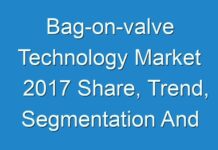 Bag-on-valve Technology Market 2017 Share, Trend, Segmentation And Forecast To 2024