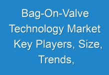 Bag-On-Valve Technology Market Key Players, Size, Trends, Opportunities and growth Analysis