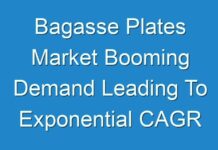Bagasse Plates Market Booming Demand Leading To Exponential CAGR Growth by 2030