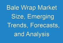 Bale Wrap Market Size, Emerging Trends, Forecasts, and Analysis 2024-2030