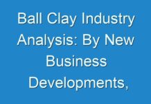 Ball Clay Industry Analysis: By New Business Developments, Innovations, And Top Companies 2024-2030