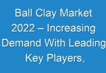 Ball Clay Market 2024 – Increasing Demand With Leading Key Players, Detailed Analysis, Trends