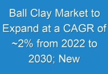 Ball Clay Market to Expand at a CAGR of ~2% from 2024 to 2030; New TMR Report Explores Impact of COVID-19 Outbreak on Market