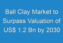 Ball Clay Market to Surpass Valuation of US$ 1.2 Bn by 2030