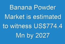 Banana Powder Market is estimated to witness US$774.4 Mn by 2027