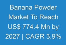 Banana Powder Market To Reach US$ 774.4 Mn by 2027 | CAGR 3.9%