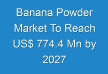 Banana Powder Market To Reach US$ 774.4 Mn by 2027