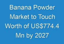 Banana Powder Market to Touch Worth of US$774.4 Mn by 2027