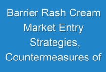 Barrier Rash Cream Market Entry Strategies, Countermeasures of Economic Impact and Marketing Channels To 2030