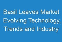 Basil Leaves Market Evolving Technology, Trends and Industry Analysis: 2027