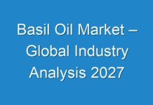 Basil Oil Market – Global Industry Analysis 2027