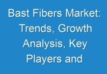 Bast Fibers Market: Trends, Growth Analysis, Key Players and Applications