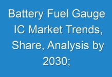 Battery Fuel Gauge IC Market Trends, Share, Analysis by 2030; COVID-19 Pandemic Set to Drop Sales