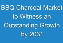 BBQ Charcoal Market to Witness an Outstanding Growth by 2031