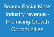 Beauty Facial Mask Industry revenue – Promising Growth Opportunities and Forecast
