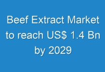 Beef Extract Market to reach US$ 1.4 Bn by 2029