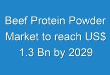 Beef Protein Powder Market to reach US$ 1.3 Bn by 2029