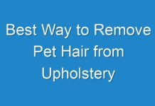 Best Way to Remove Pet Hair from Upholstery