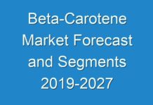 Beta-Carotene Market Forecast and Segments 2019-2027