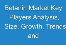Betanin Market Key Players Analysis, Size, Growth, Trends and Forecast up to 2028