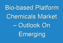Bio-based Platform Chemicals Market – Outlook On Emerging Application, Revolutionary Trends & Potential Growth Strategies 2030