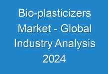 Bio-plasticizers Market – Global Industry Analysis 2024