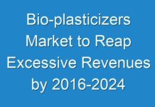 Bio-plasticizers Market to Reap Excessive Revenues by 2016-2024