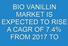 BIO VANILLIN MARKET IS EXPECTED TO RISE A CAGR OF 7.4% FROM 2017 TO 2025