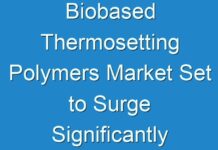 Biobased Thermosetting Polymers Market Set to Surge Significantly During 2030