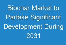 Biochar Market to Partake Significant Development During 2031