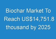 Biochar Market To Reach US$14,751.8 thousand by 2025