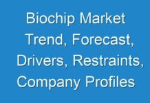 Biochip Market Trend, Forecast, Drivers, Restraints, Company Profiles and Key Players Analysis by 2027