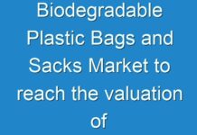 Biodegradable Plastic Bags and Sacks Market to reach the valuation of US$2.052 bn by the end of 2024