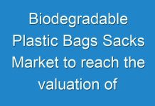 Biodegradable Plastic Bags Sacks Market to reach the valuation of US$2.052 bn by the end of 2024