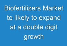 Biofertilizers Market to likely to expand at a double digit growth rate of 12.9 % CAGR
