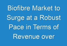 Biofibre Market to Surge at a Robust Pace in Terms of Revenue over 2030